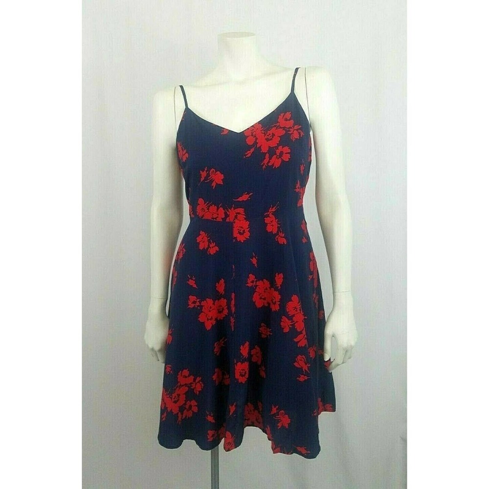 Gap Blue Red Floral Slip Dress Large